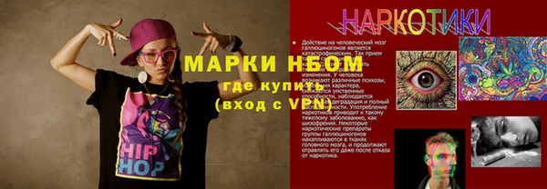 индика Абаза