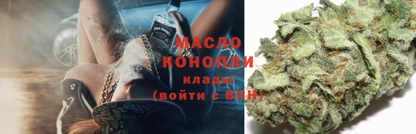 индика Абаза