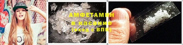 шишки Инта