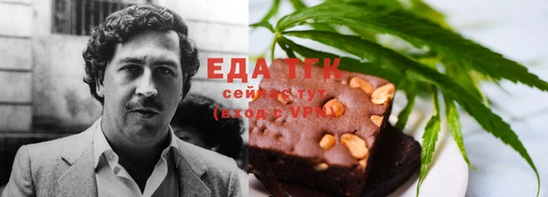 индика Абаза