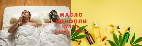 индика Абаза