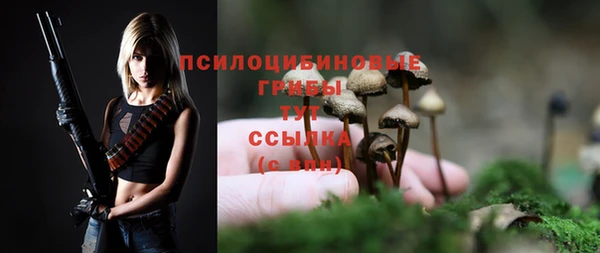 сатива Абинск