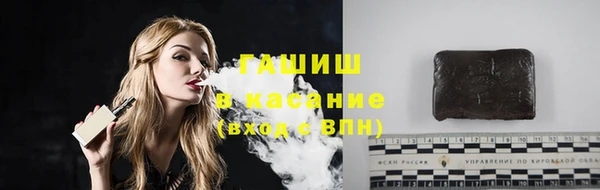 индика Абаза