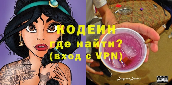 индика Абаза