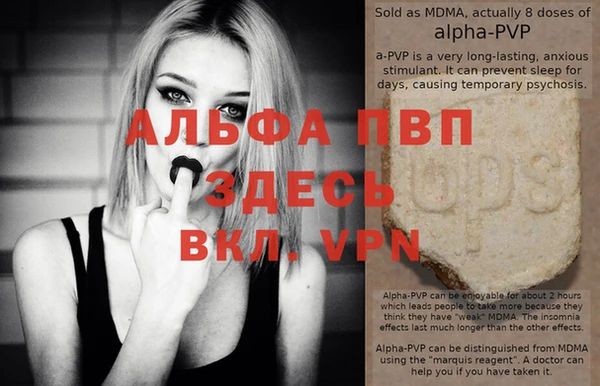 индика Абаза