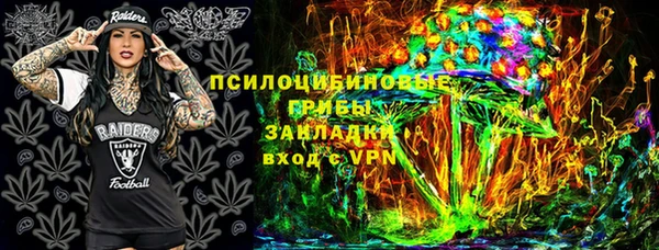 сатива Иннополис