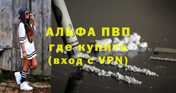 индика Абаза