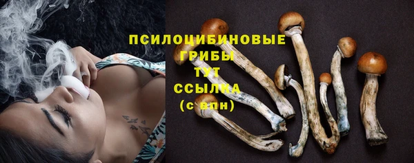 сатива Абинск