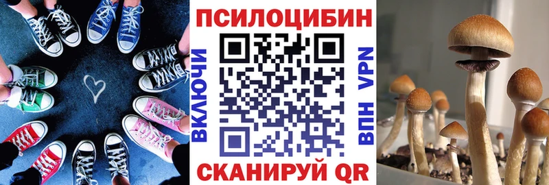 Псилоцибиновые грибы Psilocybine cubensis  сколько стоит  Грозный 