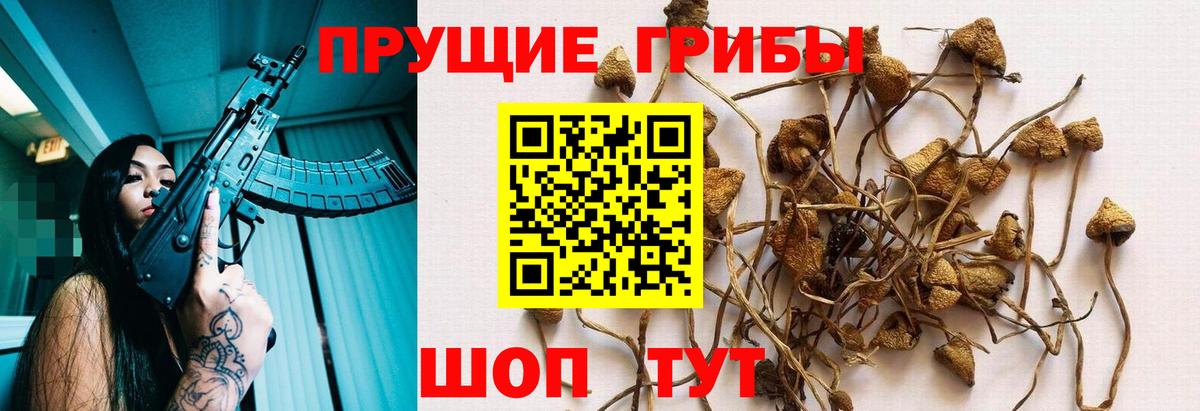 Галлюциногенные грибы ЛСД  Вход с VPN  Грозный 
