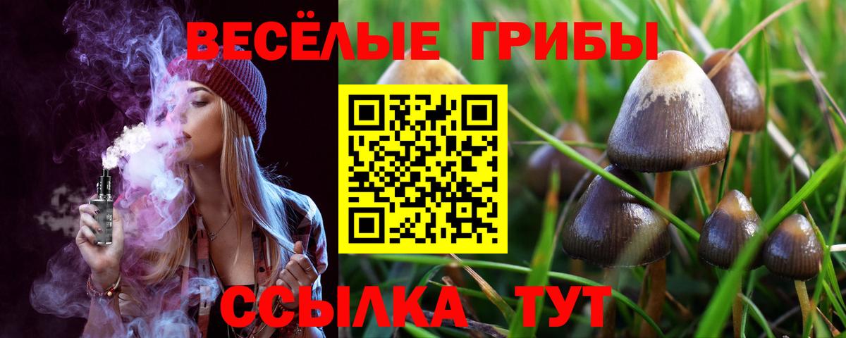 Псилоцибиновые грибы Cubensis Грозный